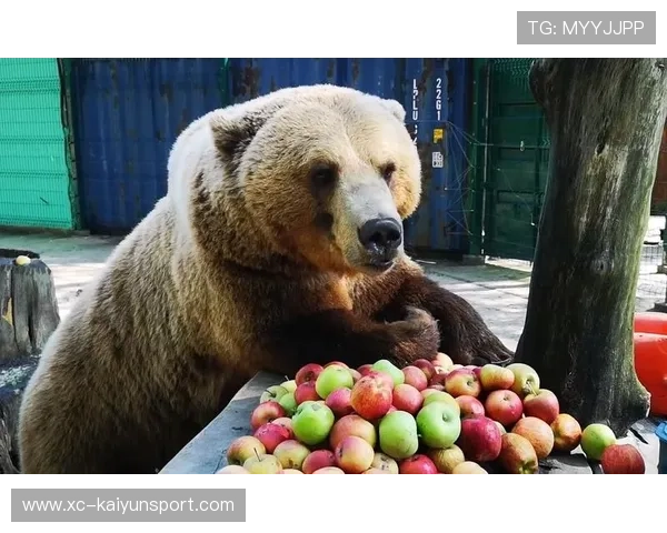 俄罗斯市区突现黑熊，惊动全城，俄罗斯大黑熊什么意思